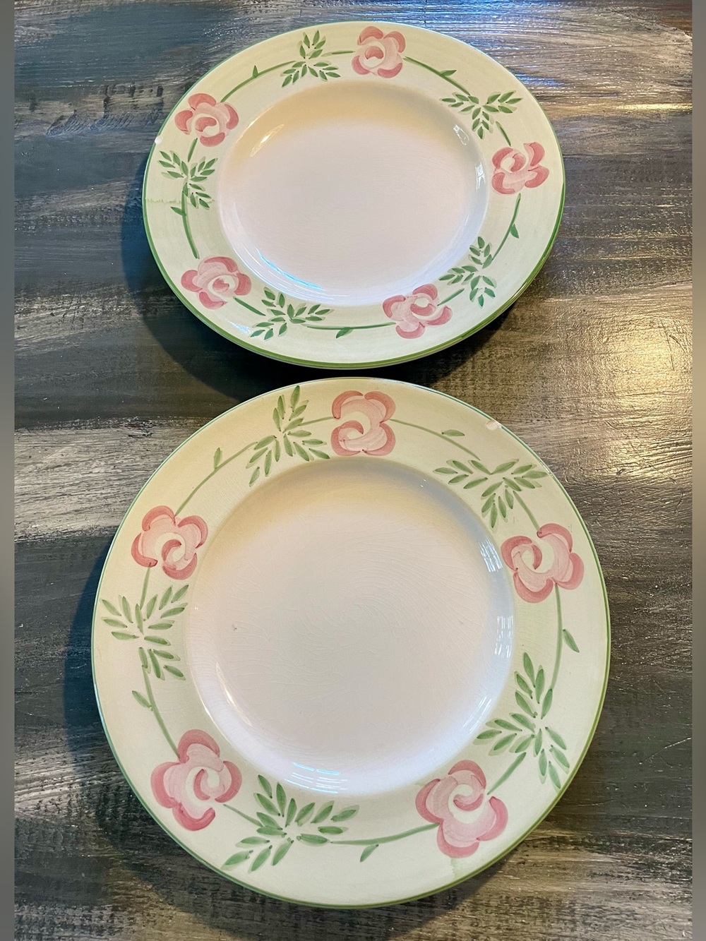 Bella Ceramica “Pastis” Dinner Plates – Set of 2 | Hand-Painted Earthenware